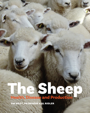 book cover for The Sheep