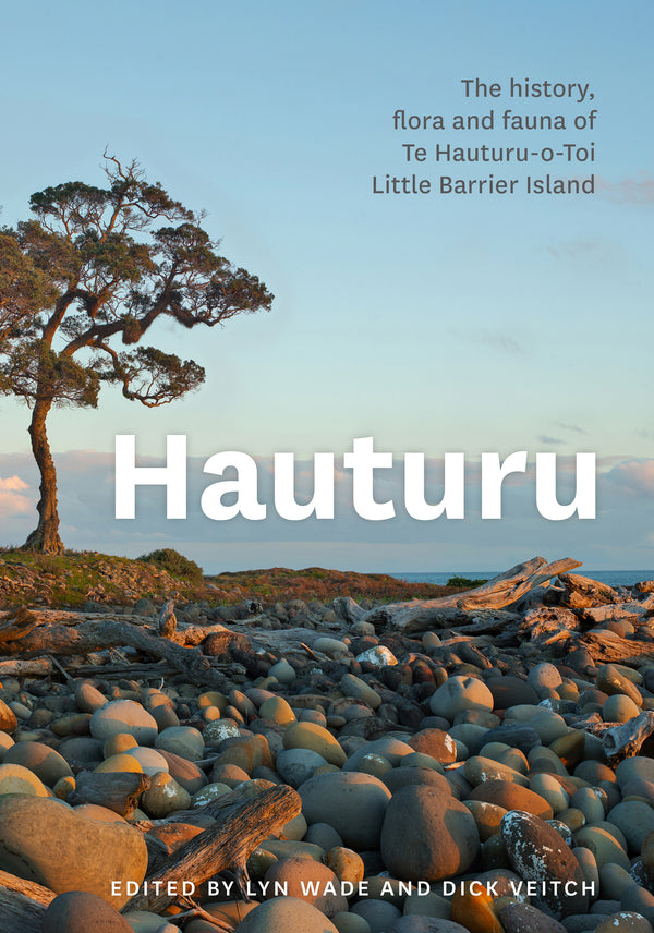 Hauturu