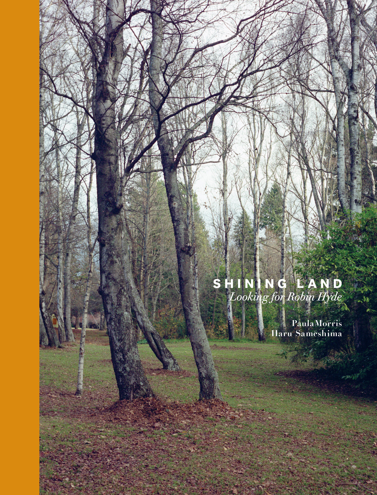 Book cover of 'Shining Land: Looking for Robin Hyde' by Paula Morris and Haru Sameshima with a forest scene and yellow binding.