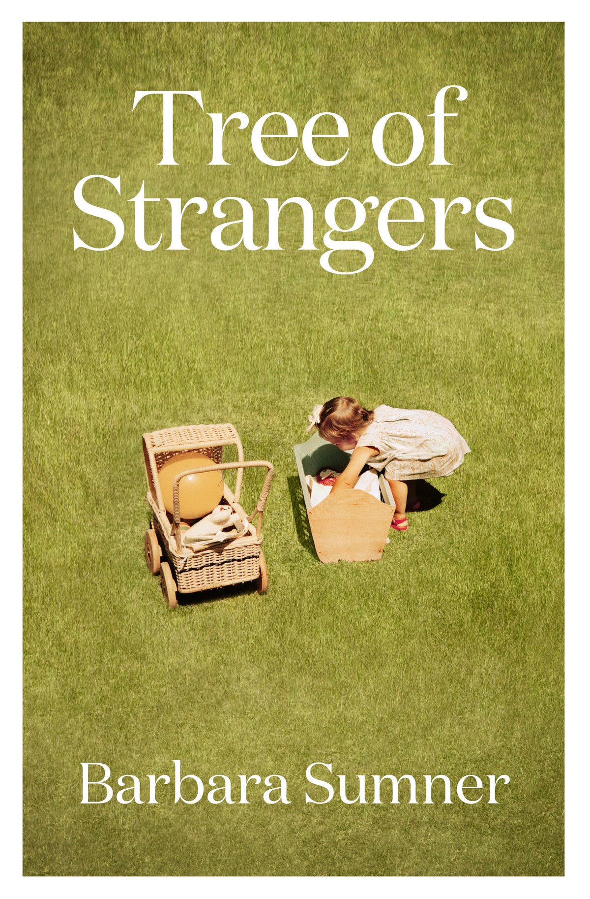 Book cover of 'Tree of Strangers' by Barbara Sumner with a child and pram on a grassy background.