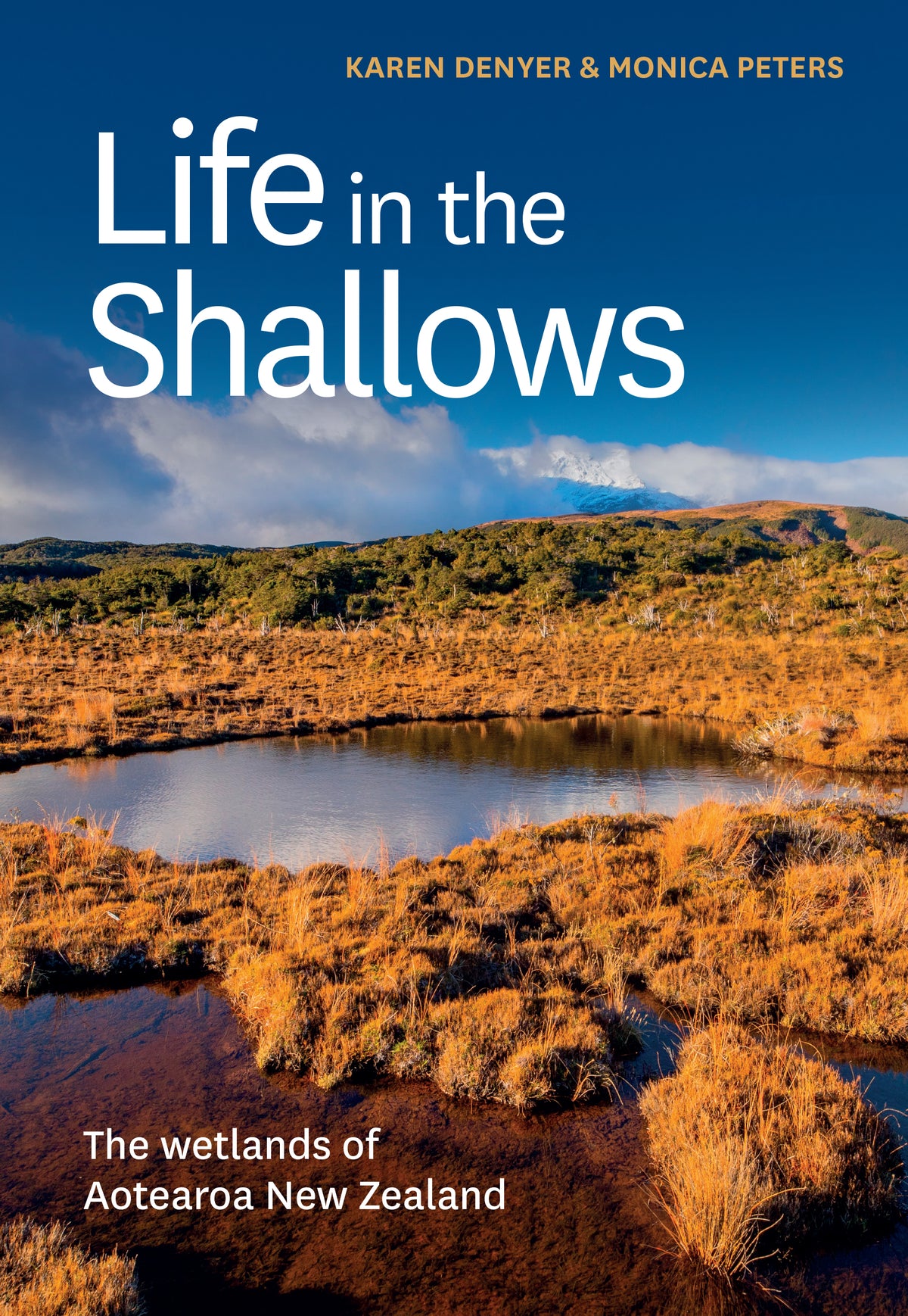Book cover of 'Life in the Shallows' by Karen Denyer and Monica Peters with a scenic wetland landscape.